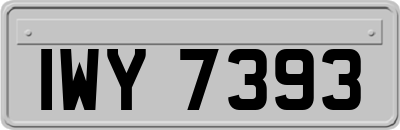 IWY7393