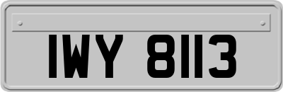 IWY8113