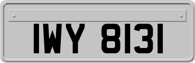 IWY8131