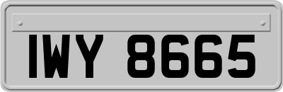 IWY8665