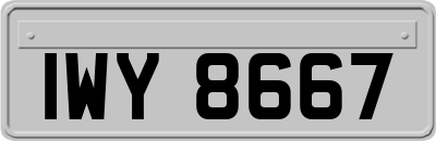 IWY8667