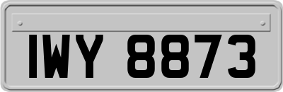 IWY8873