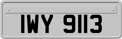 IWY9113