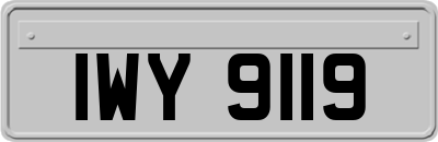 IWY9119