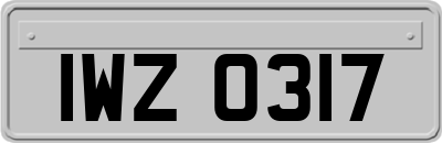 IWZ0317