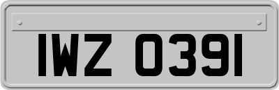 IWZ0391