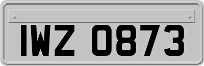 IWZ0873