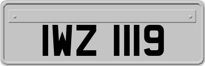 IWZ1119