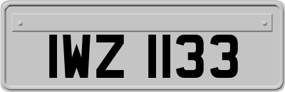 IWZ1133