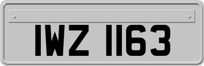 IWZ1163