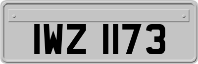 IWZ1173