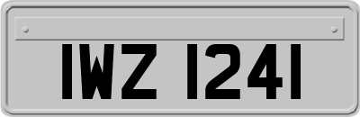 IWZ1241
