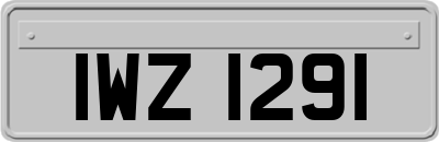 IWZ1291