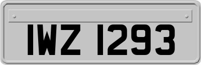 IWZ1293