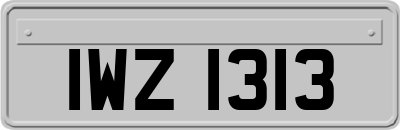 IWZ1313
