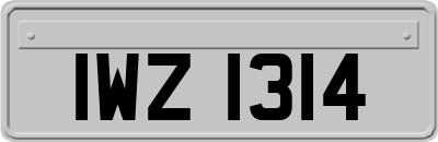 IWZ1314