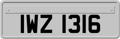 IWZ1316
