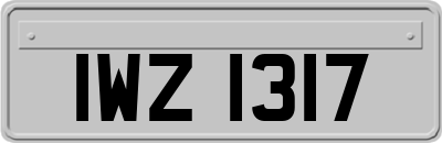 IWZ1317