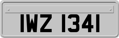 IWZ1341