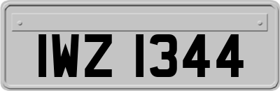 IWZ1344