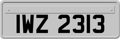 IWZ2313