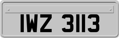 IWZ3113