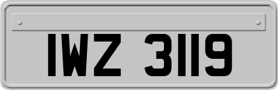 IWZ3119
