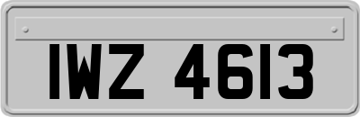IWZ4613