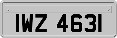 IWZ4631