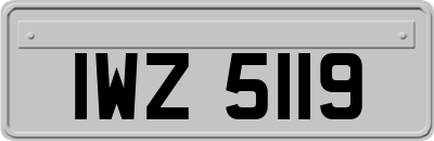 IWZ5119