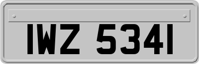 IWZ5341