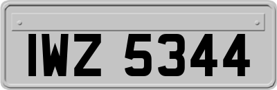 IWZ5344