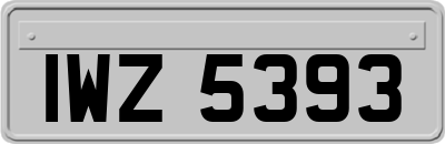 IWZ5393