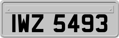 IWZ5493