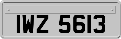 IWZ5613