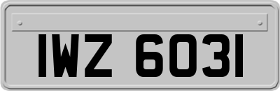 IWZ6031