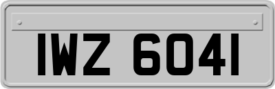 IWZ6041