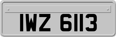 IWZ6113