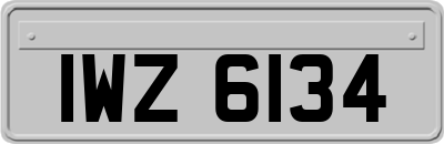 IWZ6134