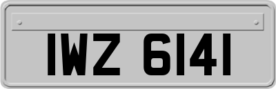 IWZ6141