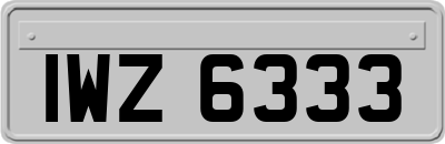 IWZ6333