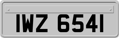 IWZ6541