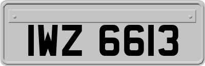 IWZ6613