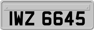 IWZ6645