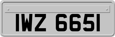 IWZ6651