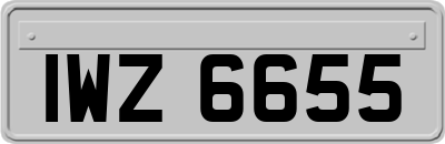 IWZ6655