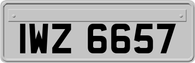 IWZ6657
