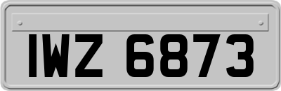 IWZ6873