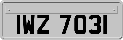 IWZ7031
