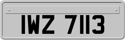 IWZ7113